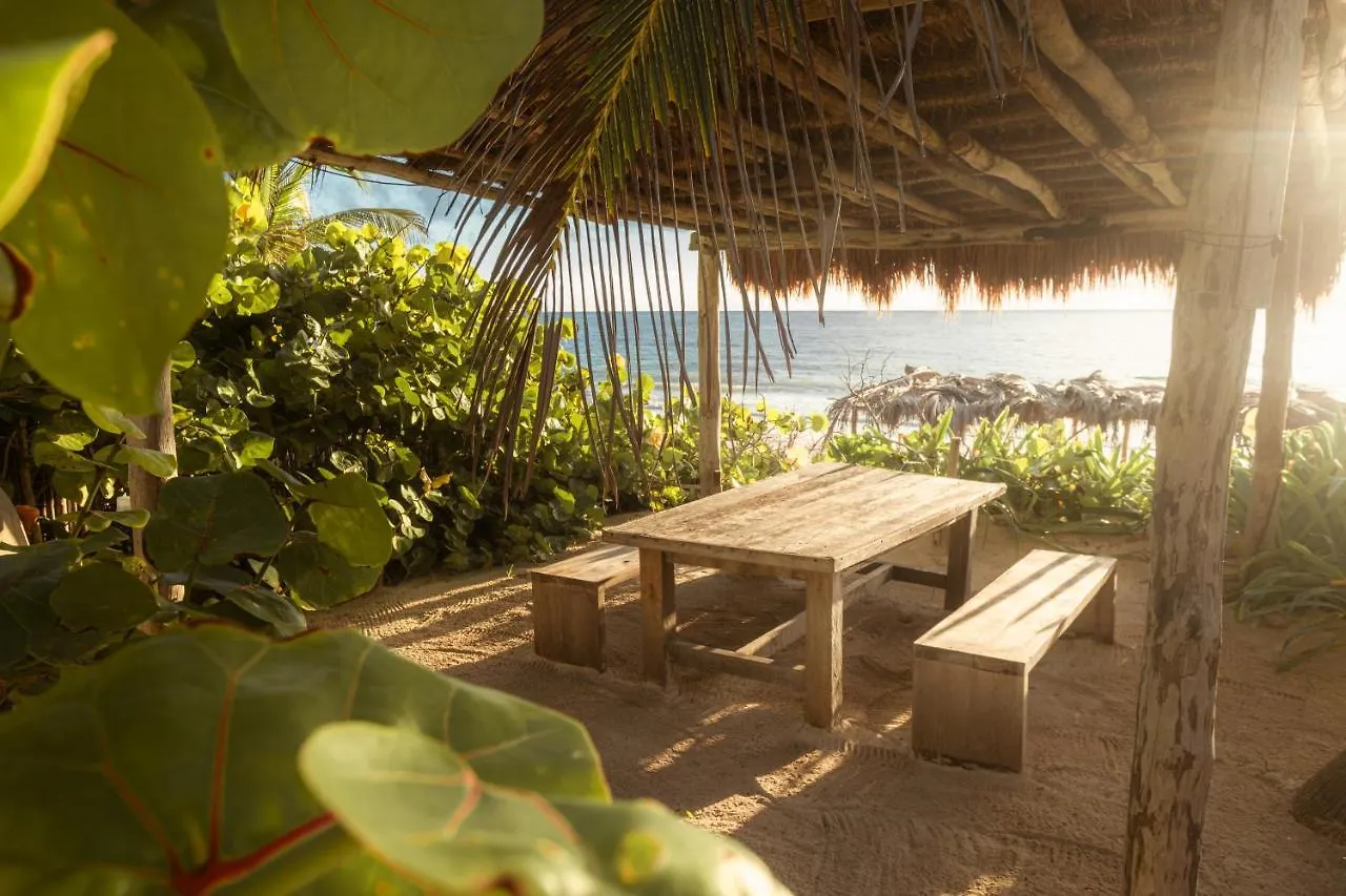 Casa Phoenix Tulum 5*,  Mexico
