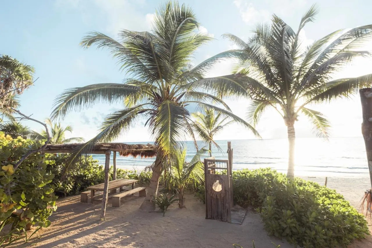 Hotel Casa Phoenix Tulum