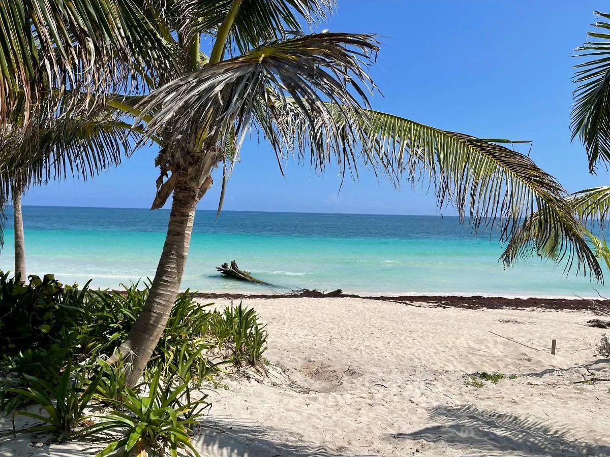 Casa Phoenix Tulum
